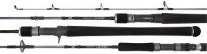 20 TD SALTWATER RODS