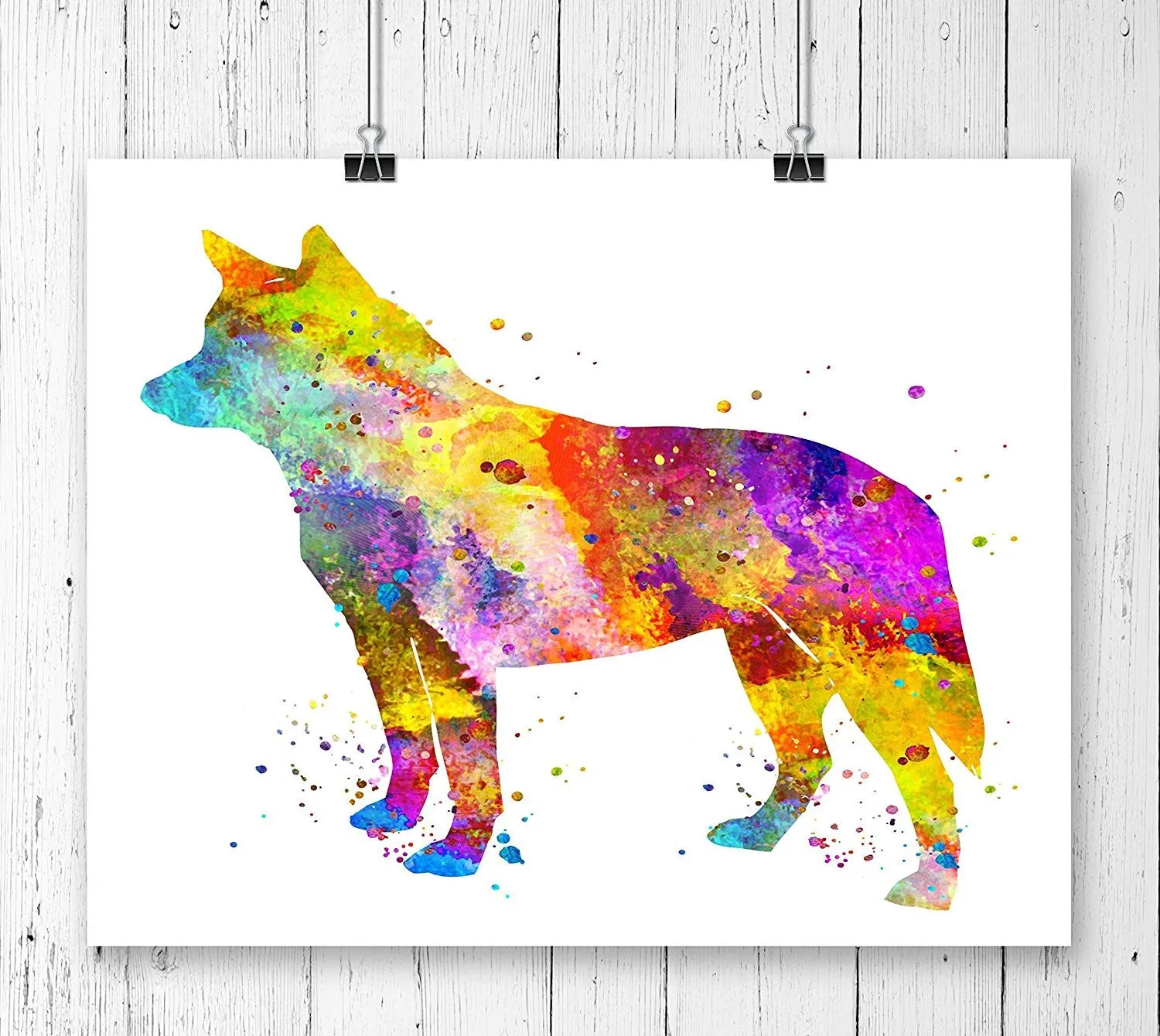 Australian Cattle Dog Watercolor Art Print - Unframed