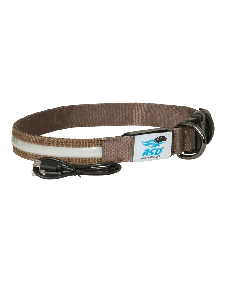 Avery Lighted Dog Collar