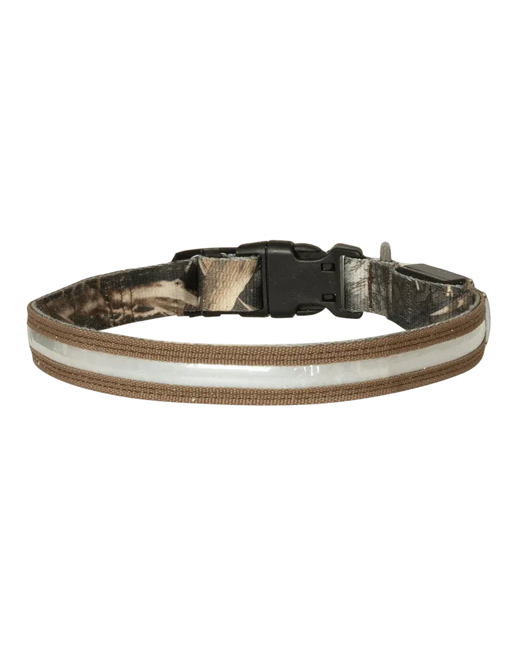 Avery Lighted Dog Collar