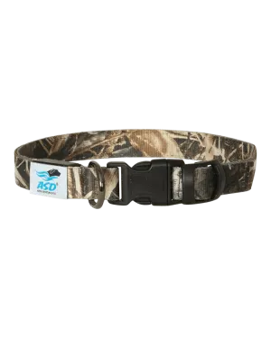 Avery Lighted Dog Collar