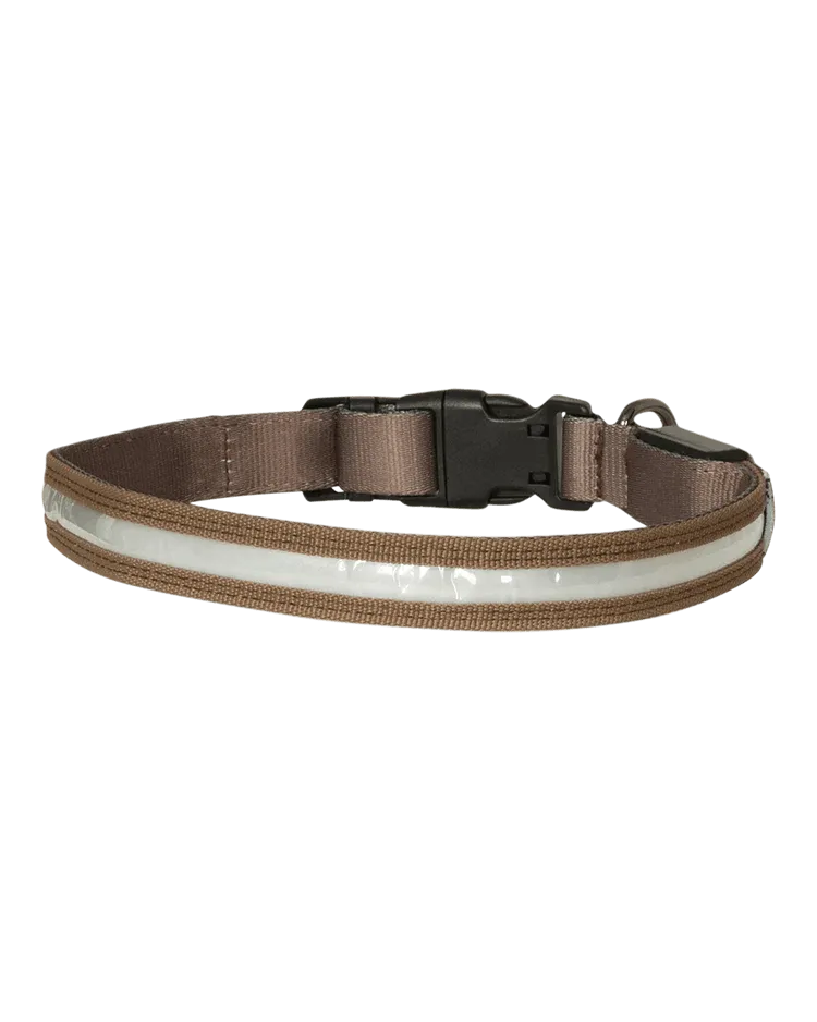 Avery Lighted Dog Collar