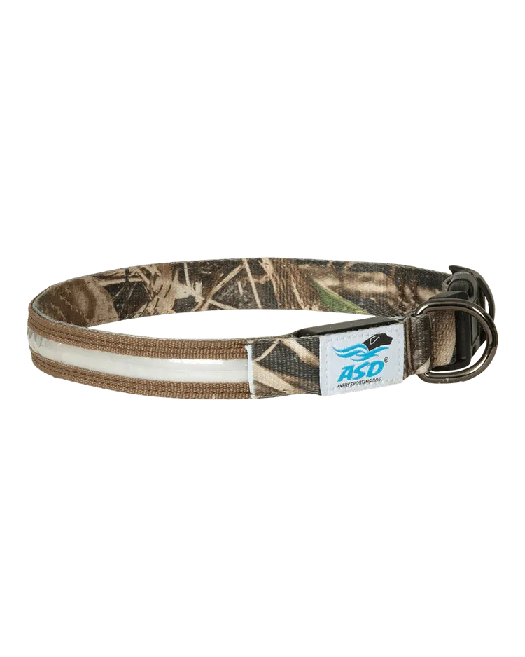 Avery Lighted Dog Collar