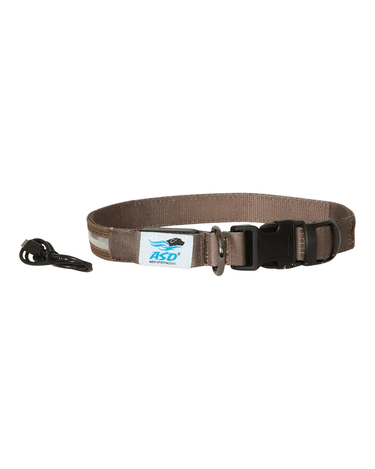 Avery Lighted Dog Collar