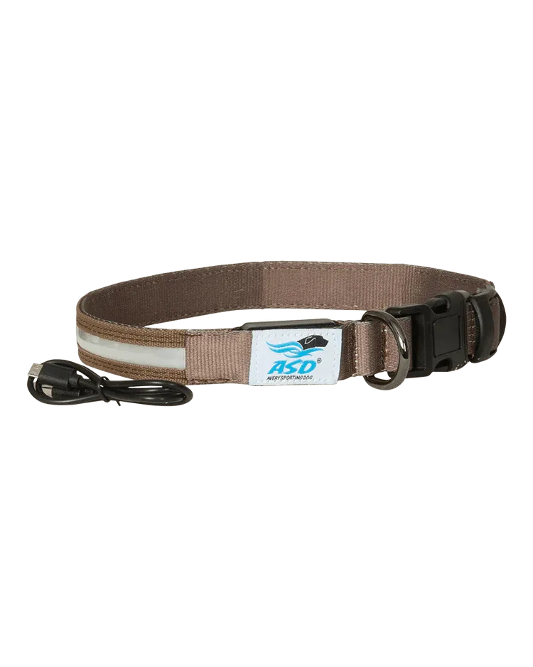 Avery Lighted Dog Collar