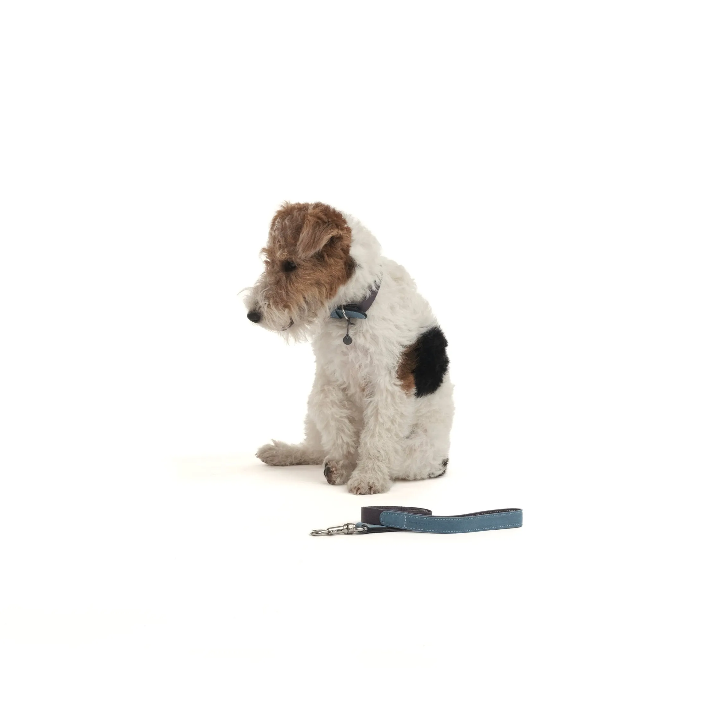 Baseball Dog Collar
