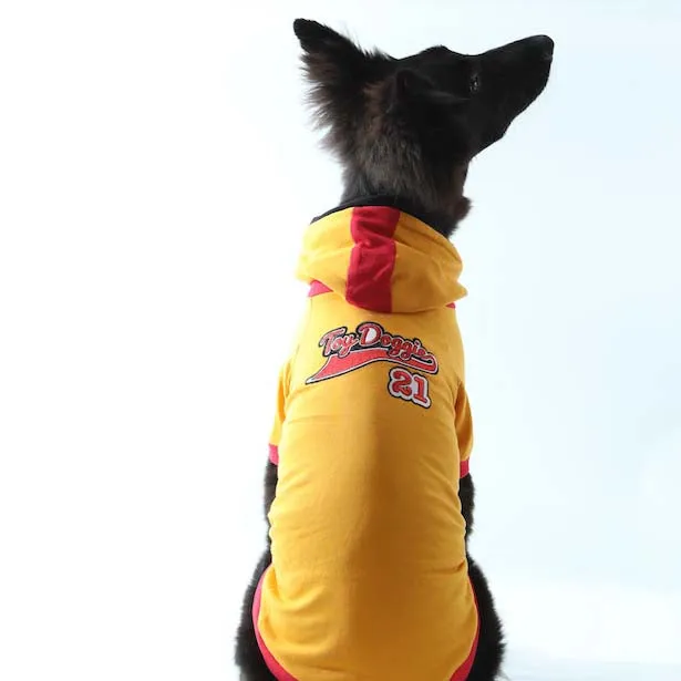 Basepawll 21 Hood - Dog or Cat Hoodie
