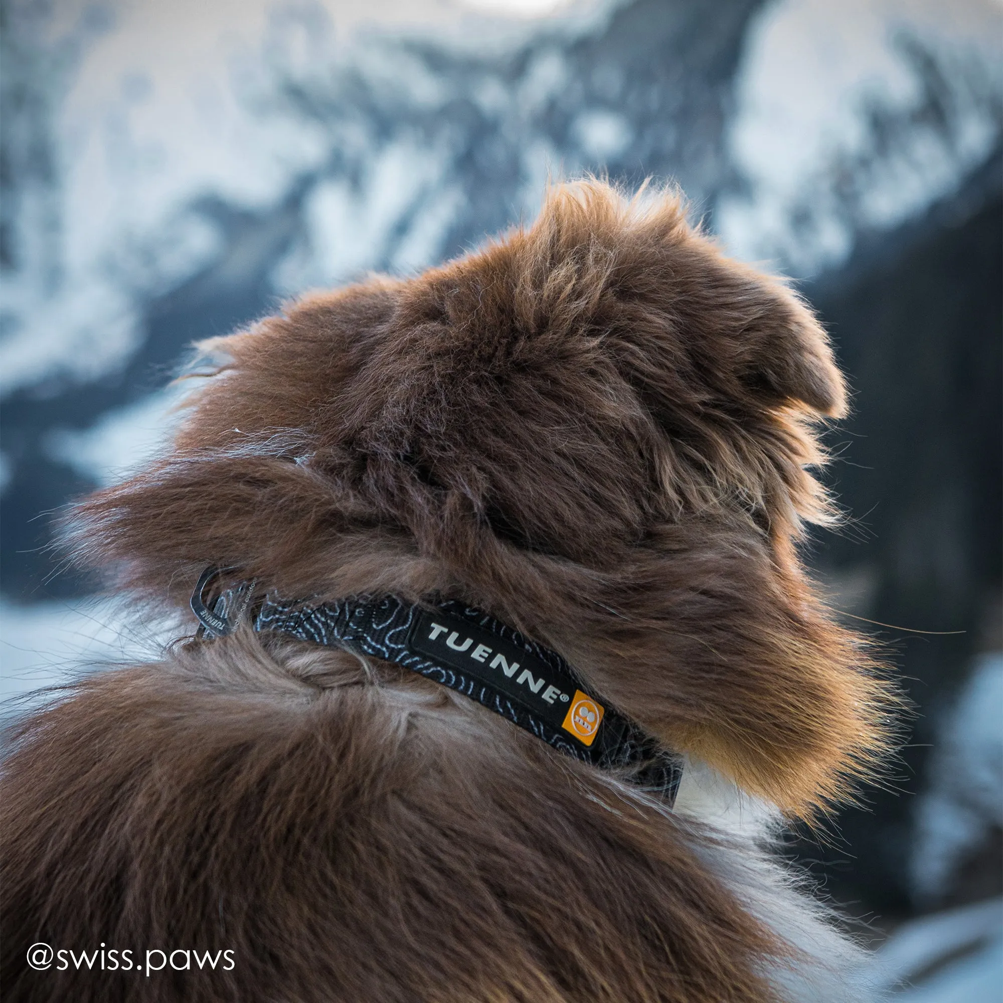 Black Topographic Collar