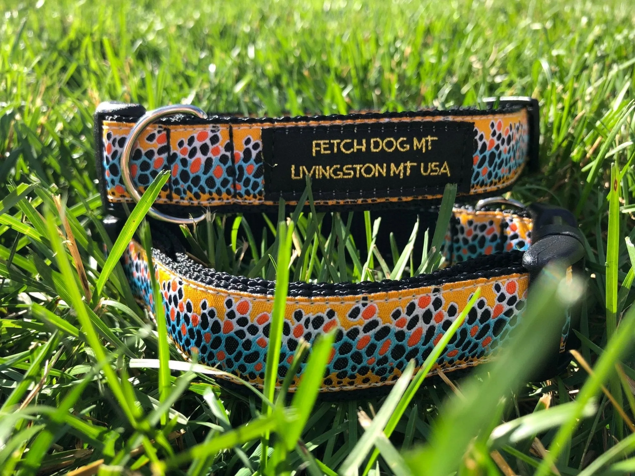 Brown Trout Dog Collar