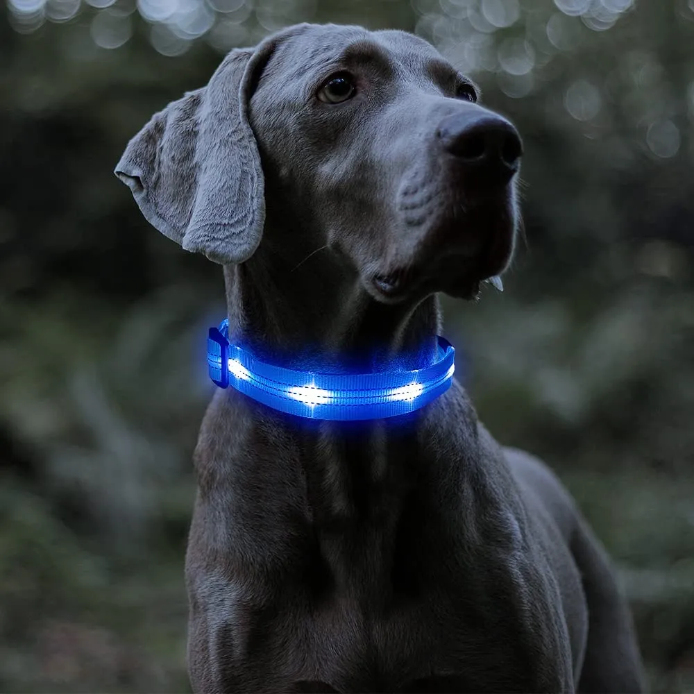 BSEEN Reflective Light Up Dog Collar