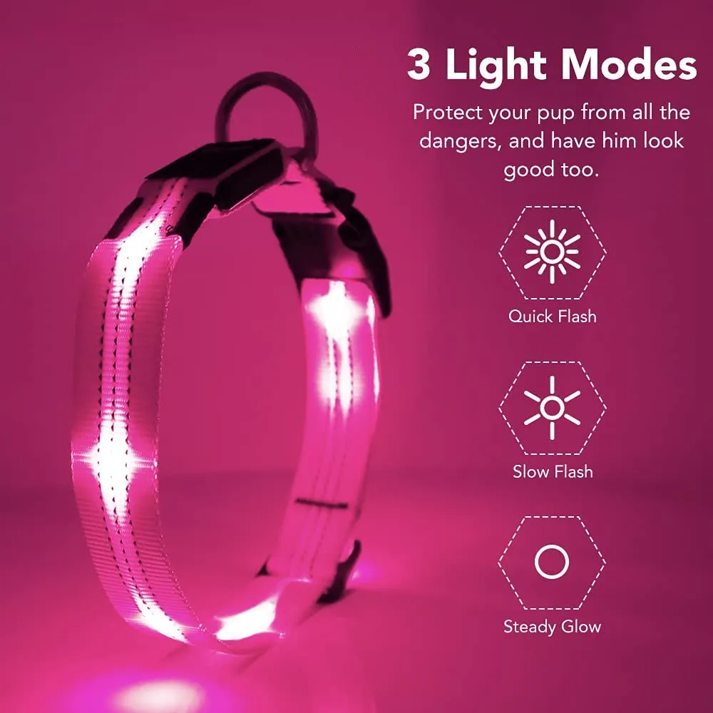 BSEEN Reflective Light Up Dog Collar