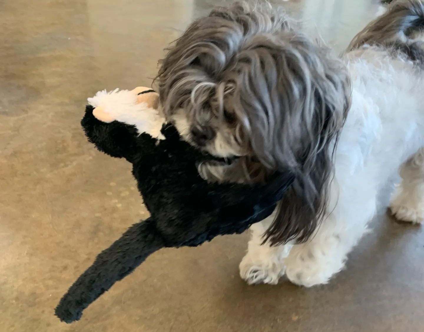 Buddy's Monkey Dog Toy