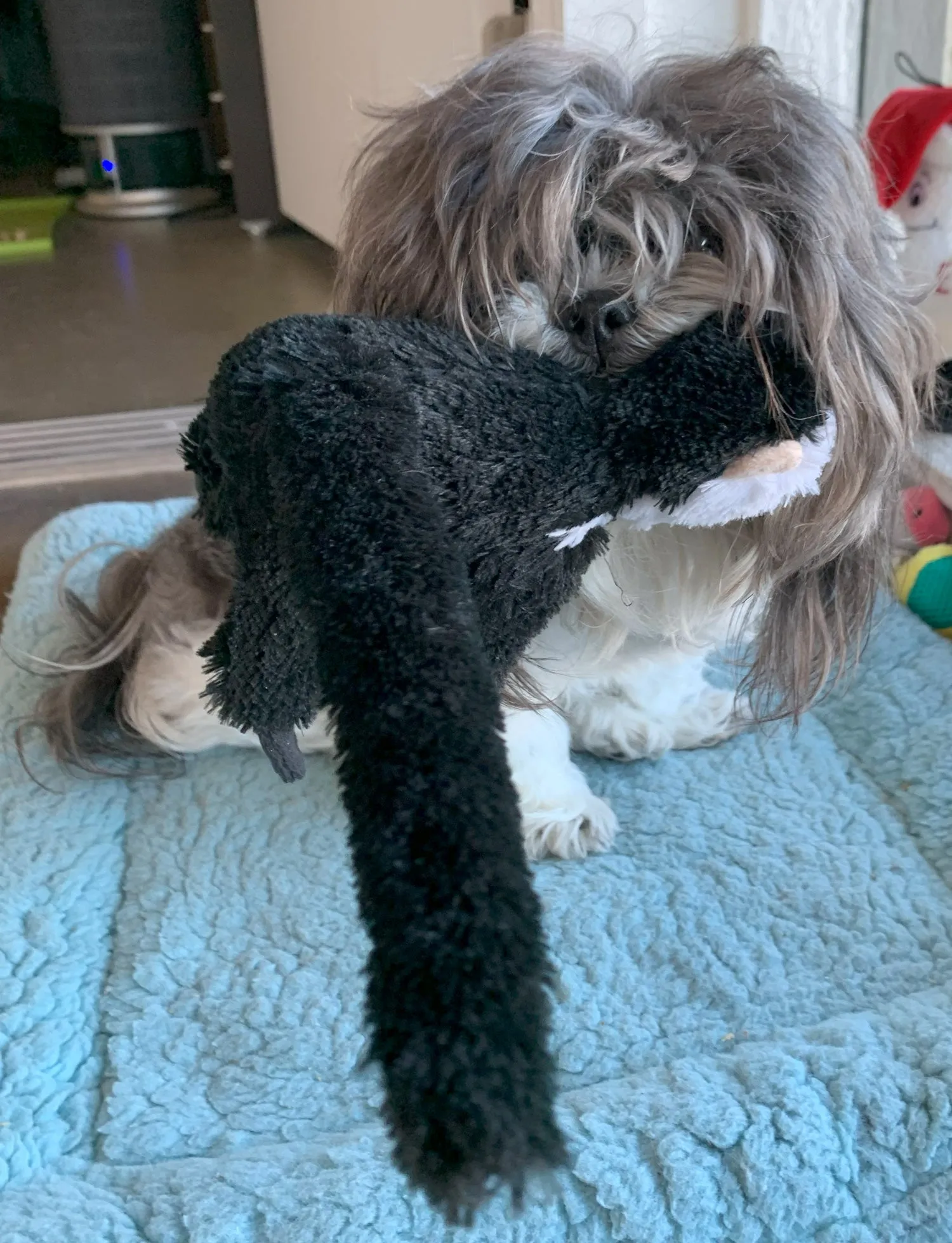 Buddy's Monkey Dog Toy