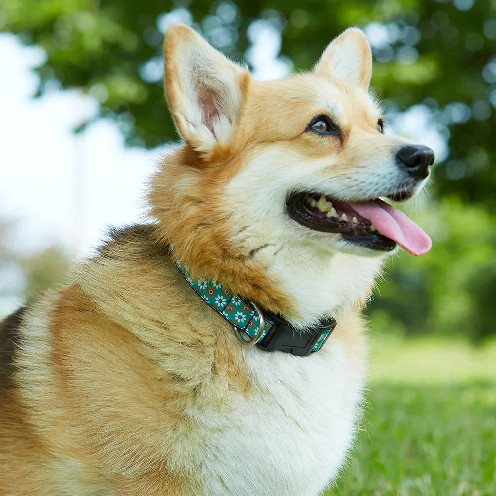 Cloverly - Dog Collar