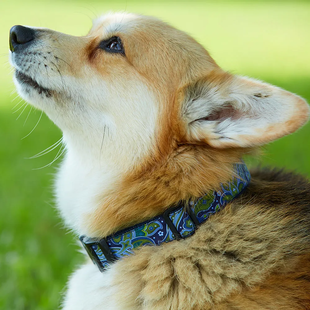 Cloverly - Dog Collar
