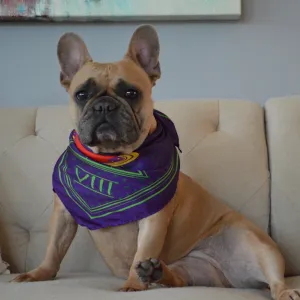 Code 8  Dog Bandana