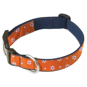 Daisy Springs Orange - Dog Collar