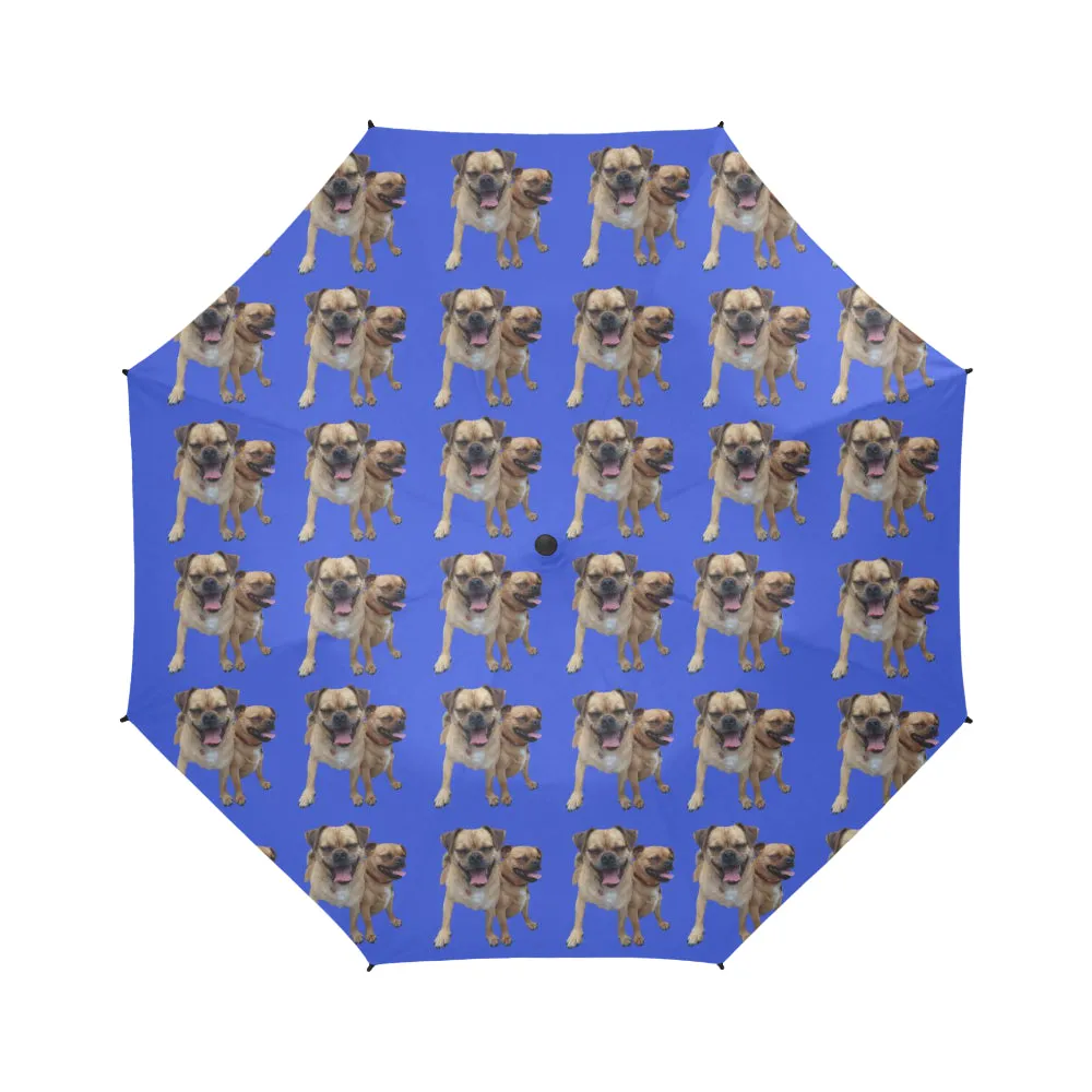 Damien's Dog Umbrella - Auto Open