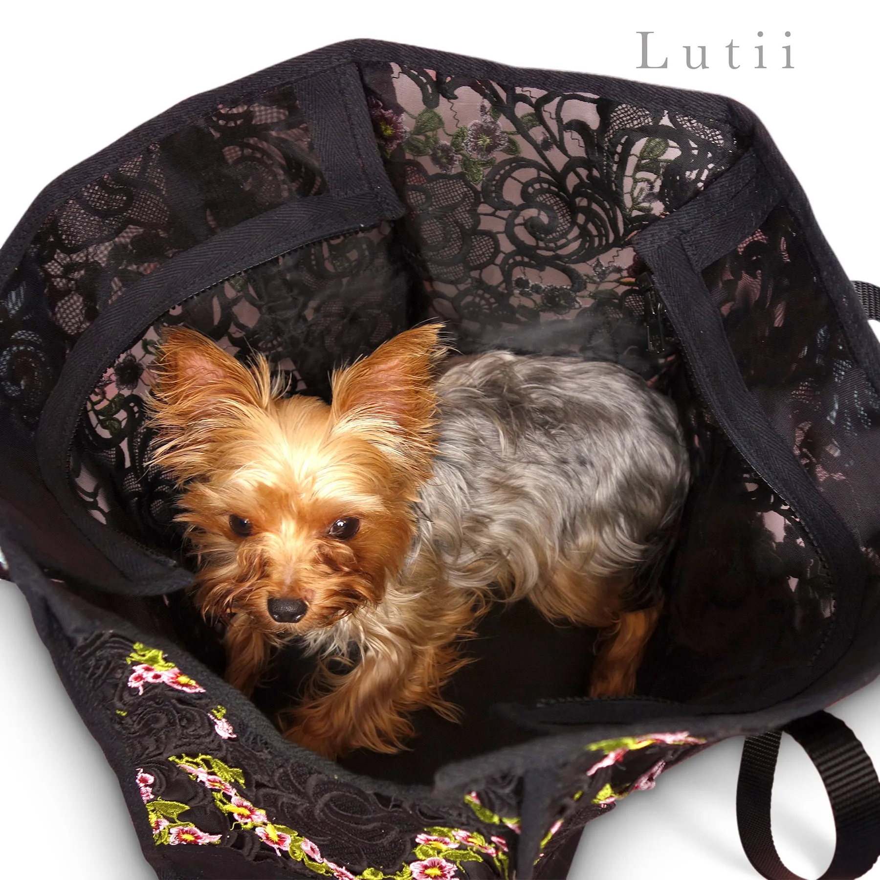 dog carrier, non-overheating, spring/summer lightweight lace pet tote "Italian Job"
