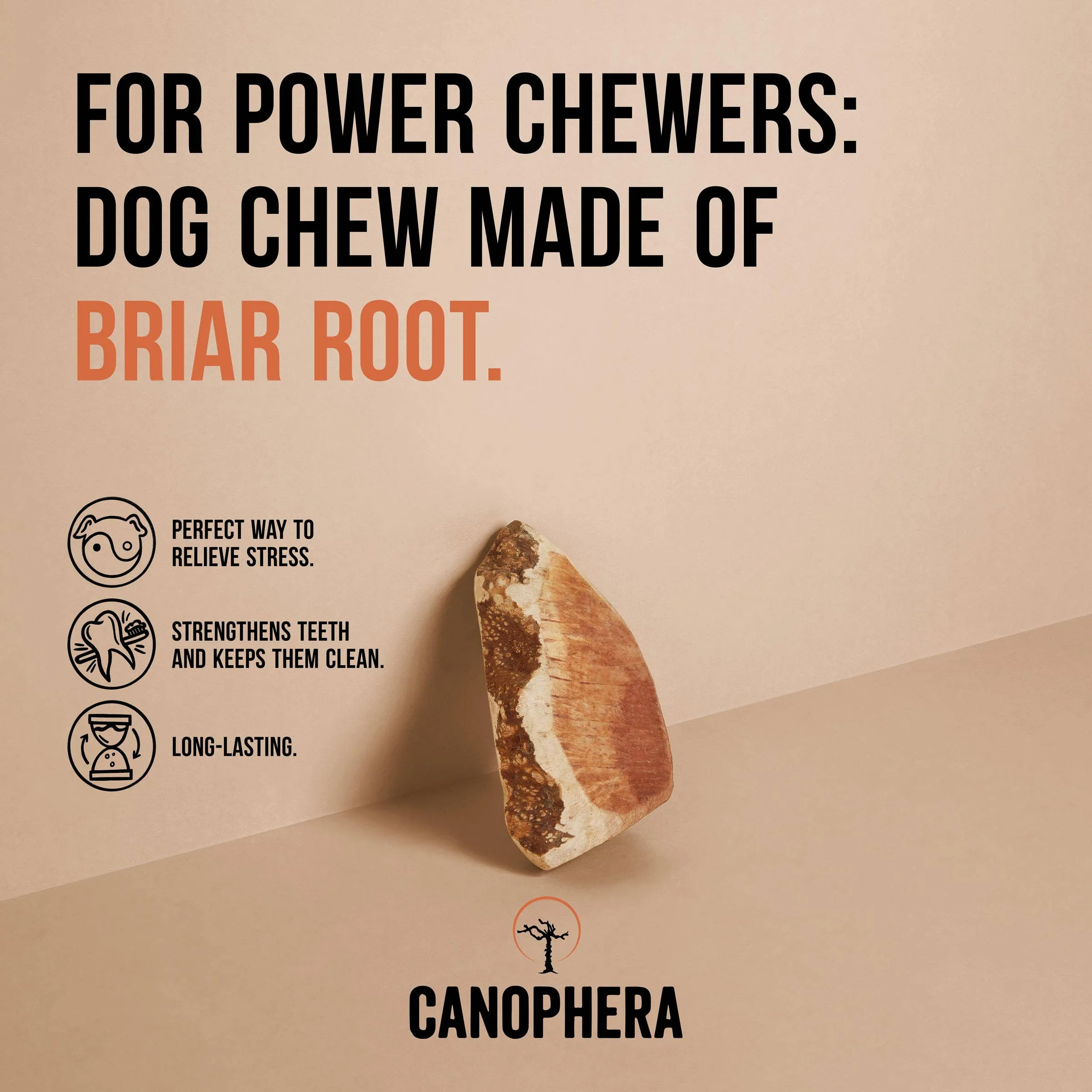 Dog Chew Made of Briar Root.