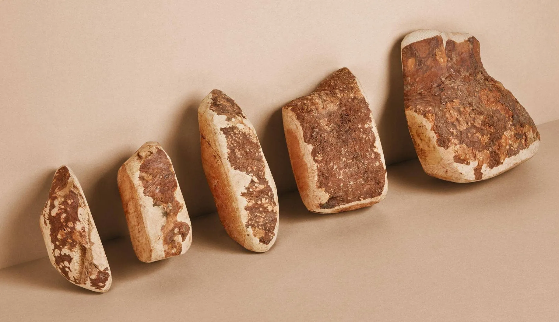 Dog Chew Made of Briar Root.
