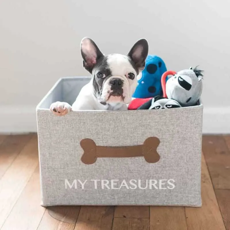 Dog Toy Storage and Blanket