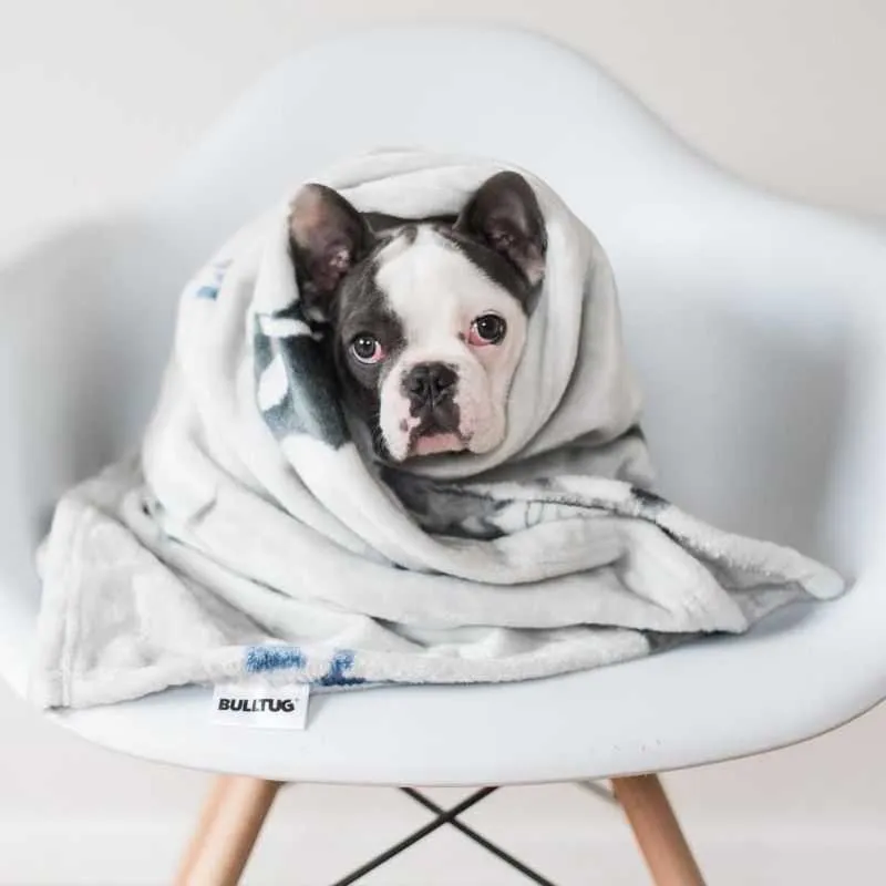 Dog Toy Storage and Blanket