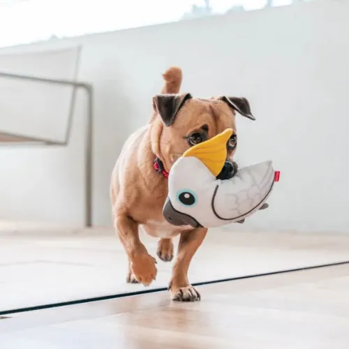 DURABLES Dog Toy — Cockatoo