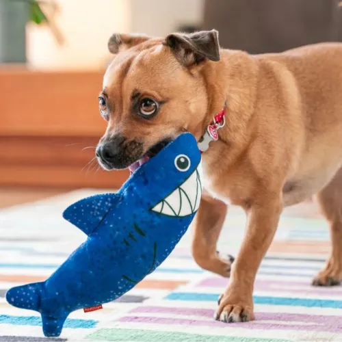 DURABLES Dog Toy — Shark