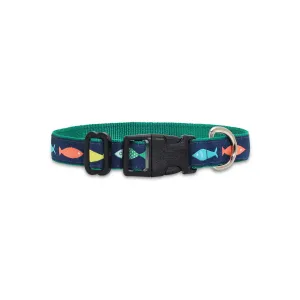 Funky Fish - Dog Collar