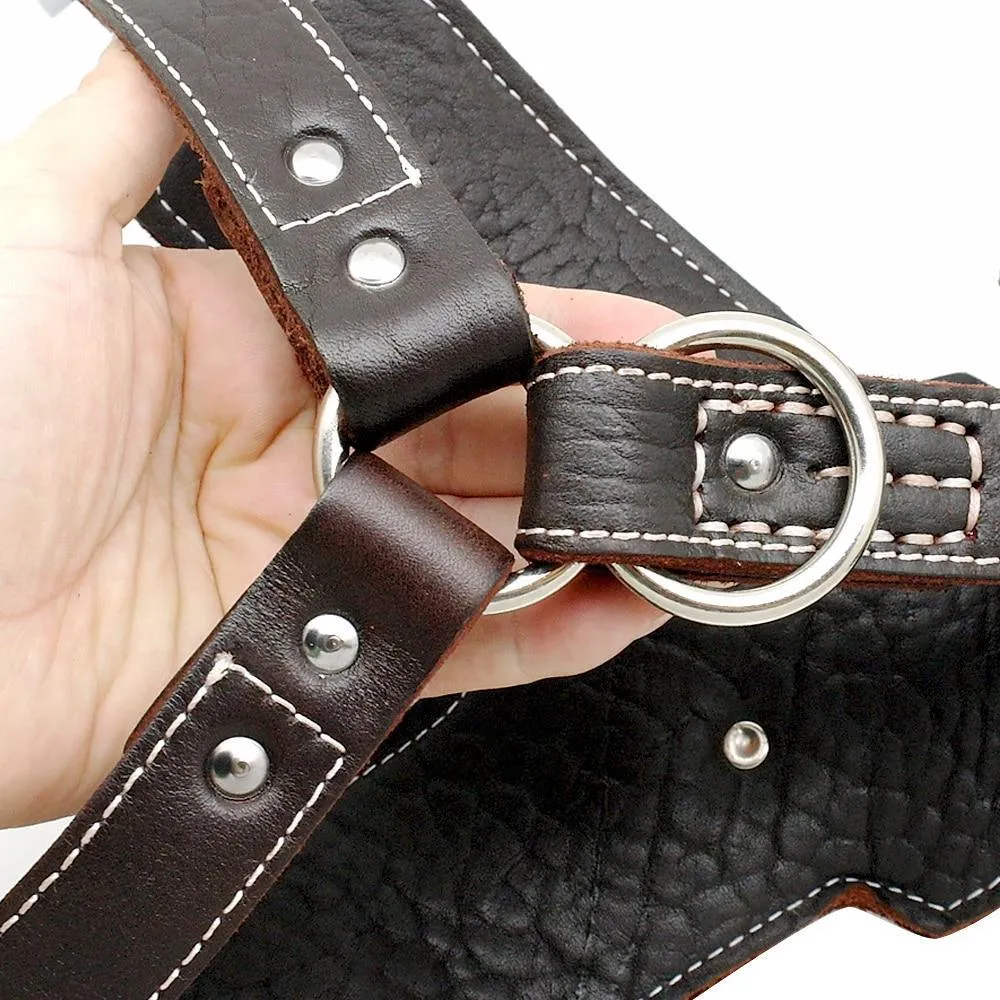 Genuine Leather Dog Harness/Durable Adjustable Big Large Dog Vest