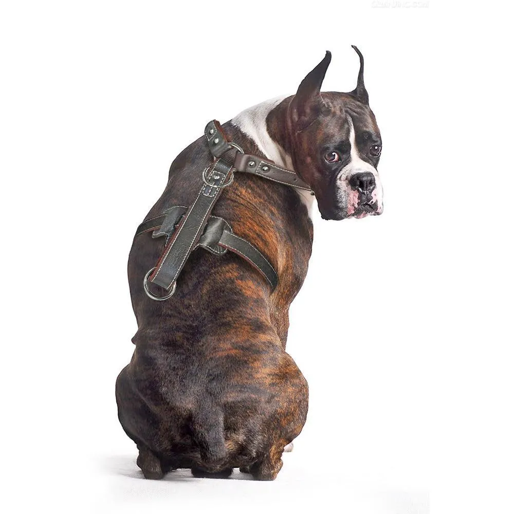 Genuine Leather Dog Harness/Durable Adjustable Big Large Dog Vest