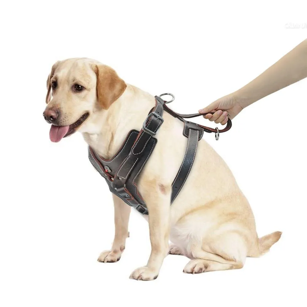 Genuine Leather Dog Harness/Durable Adjustable Big Large Dog Vest