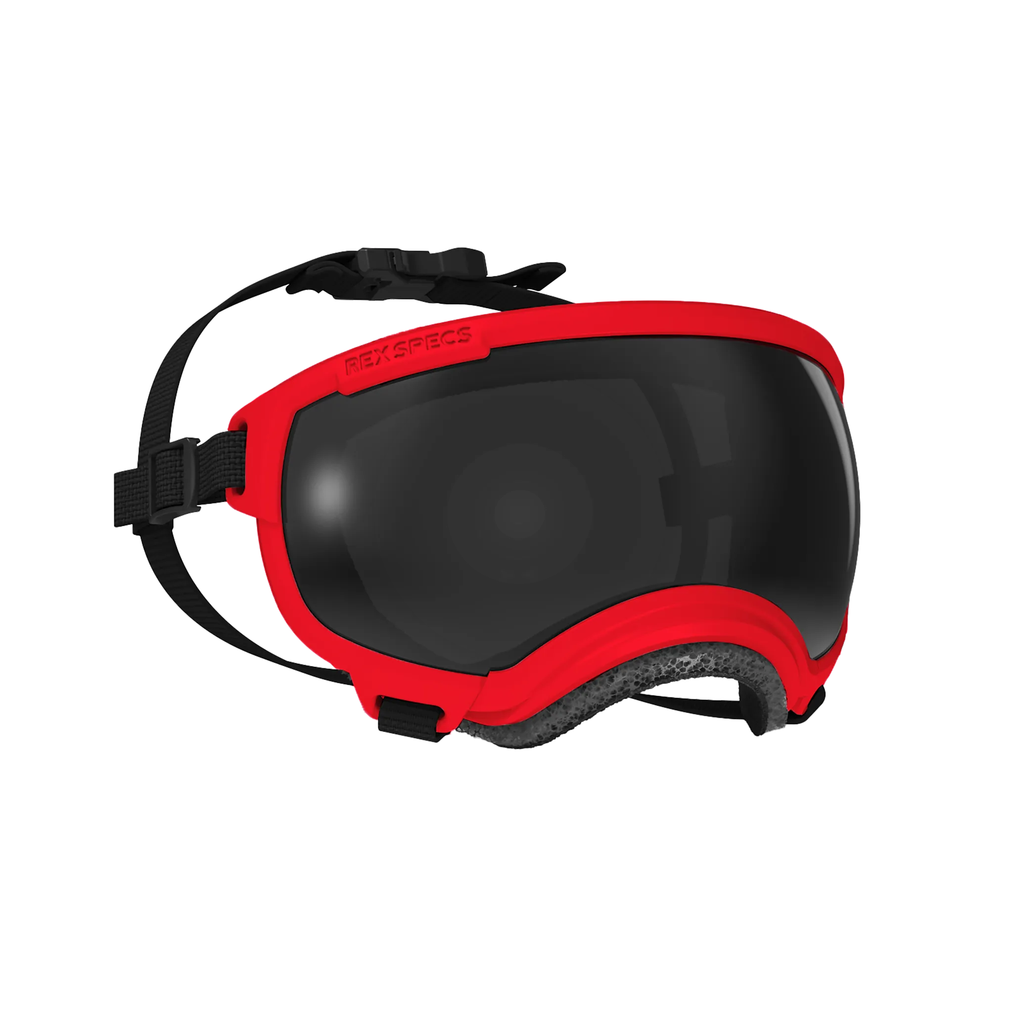 Goggles for Dogs - V2