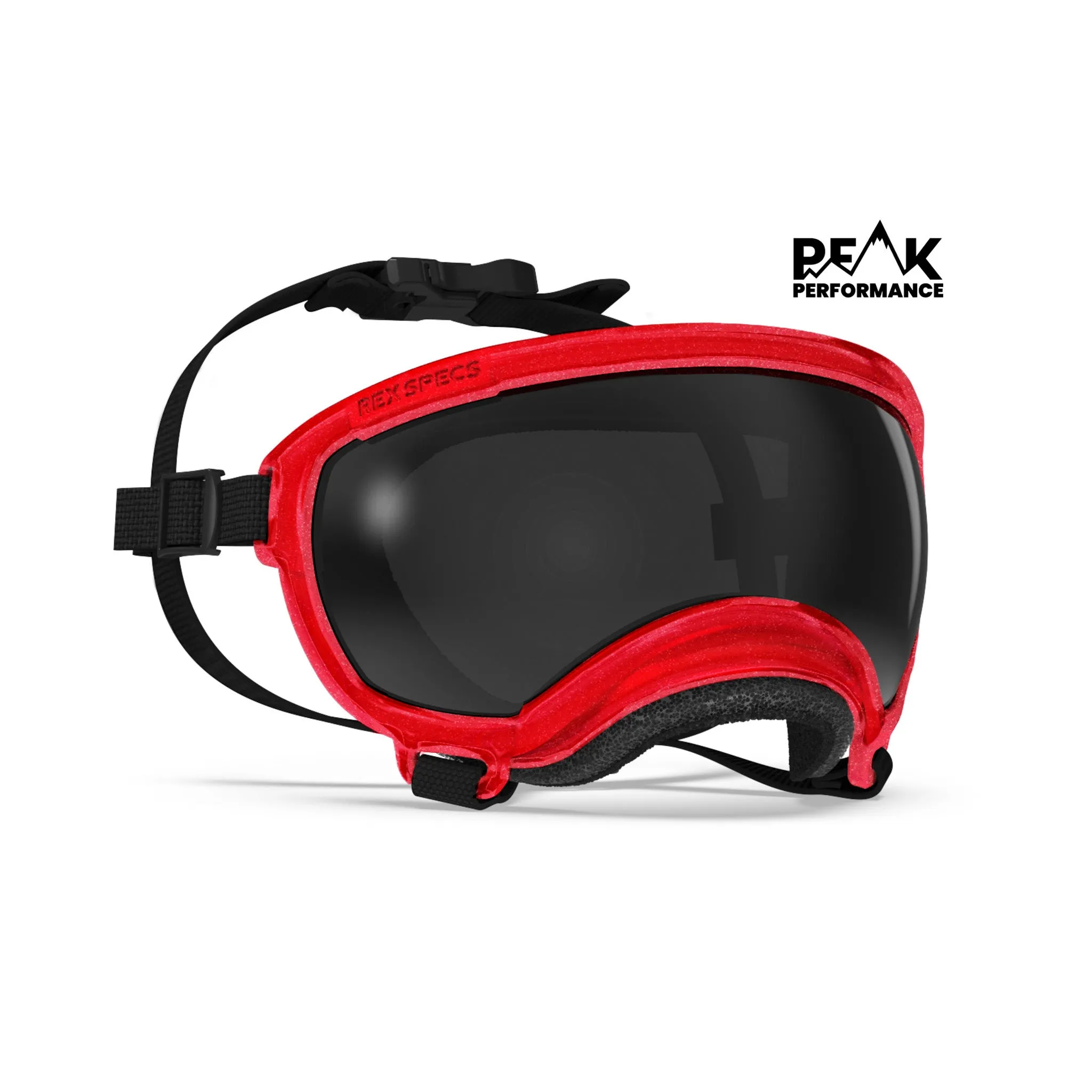 Goggles for Dogs - V2