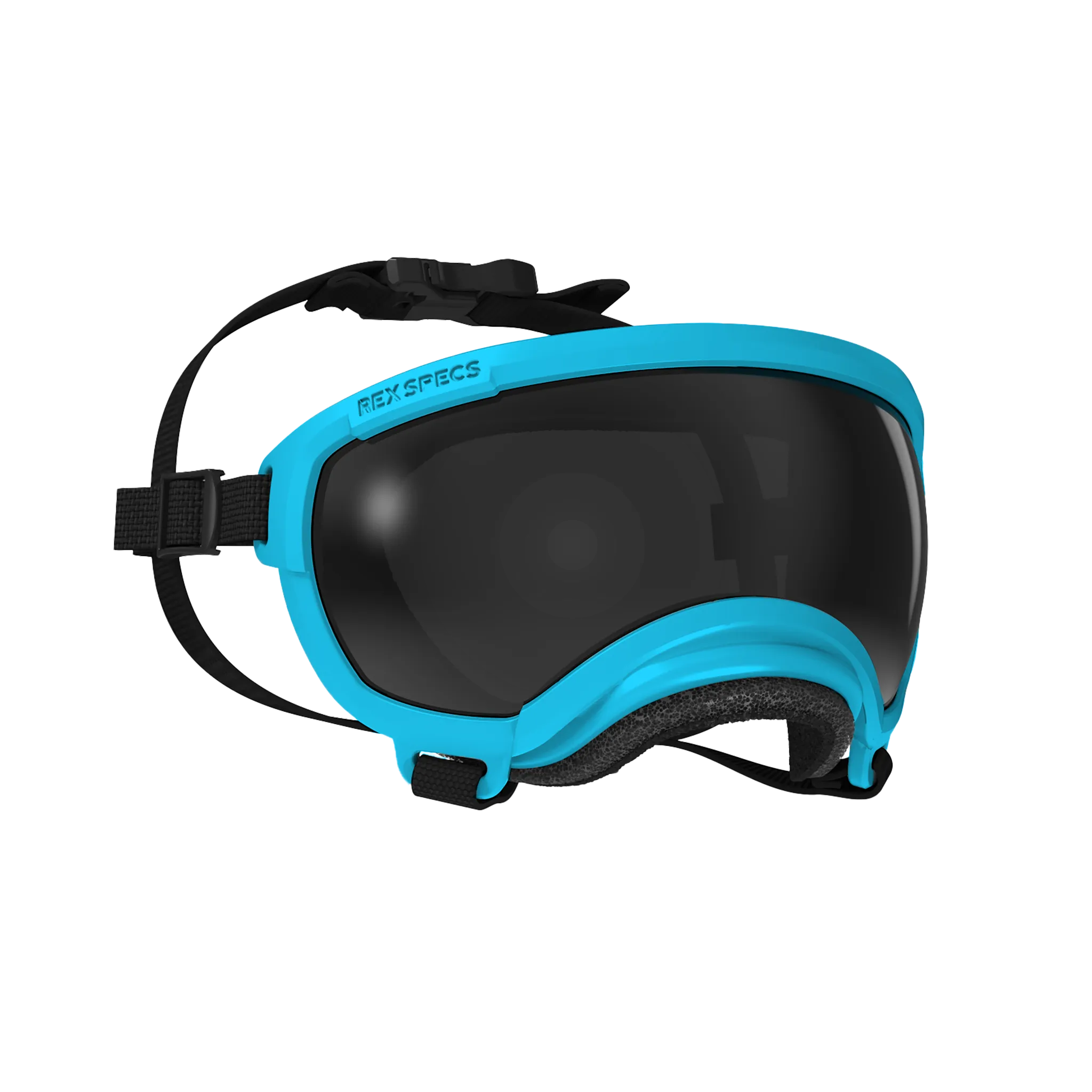 Goggles for Dogs - V2