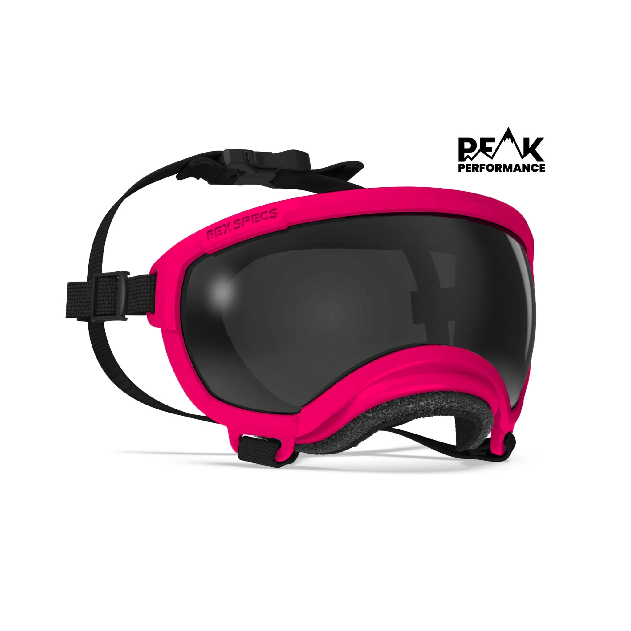 Goggles for Dogs - V2