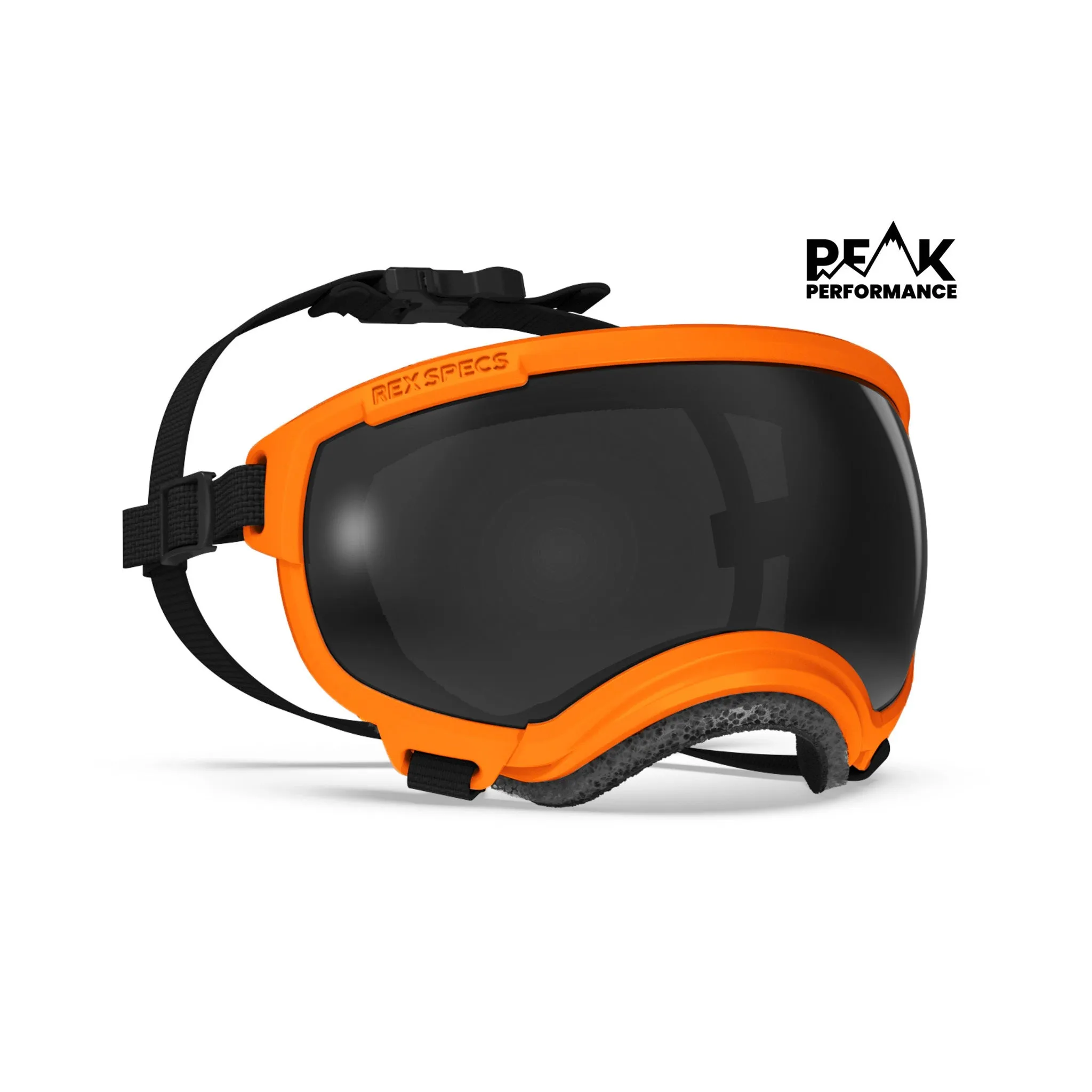 Goggles for Dogs - V2