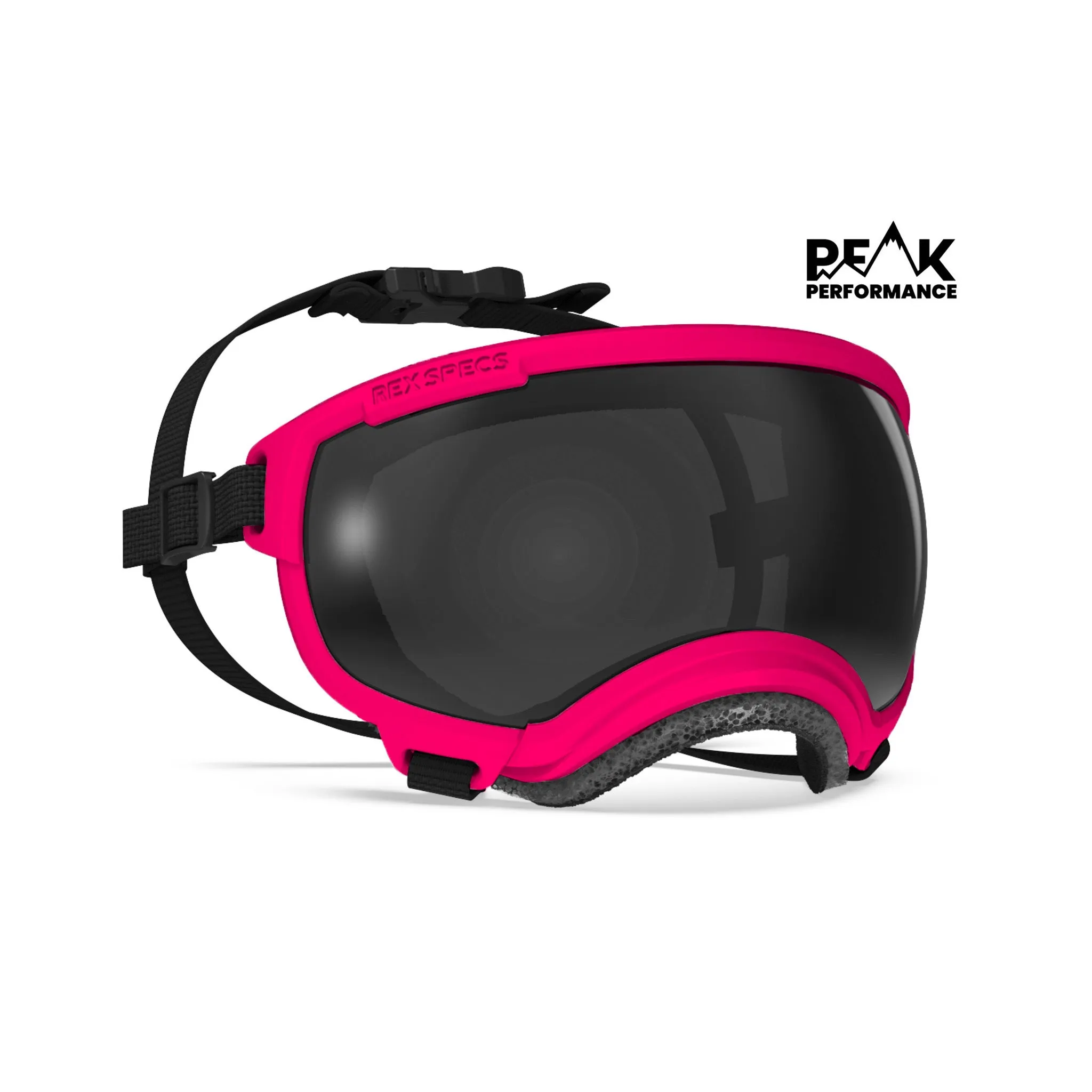 Goggles for Dogs - V2