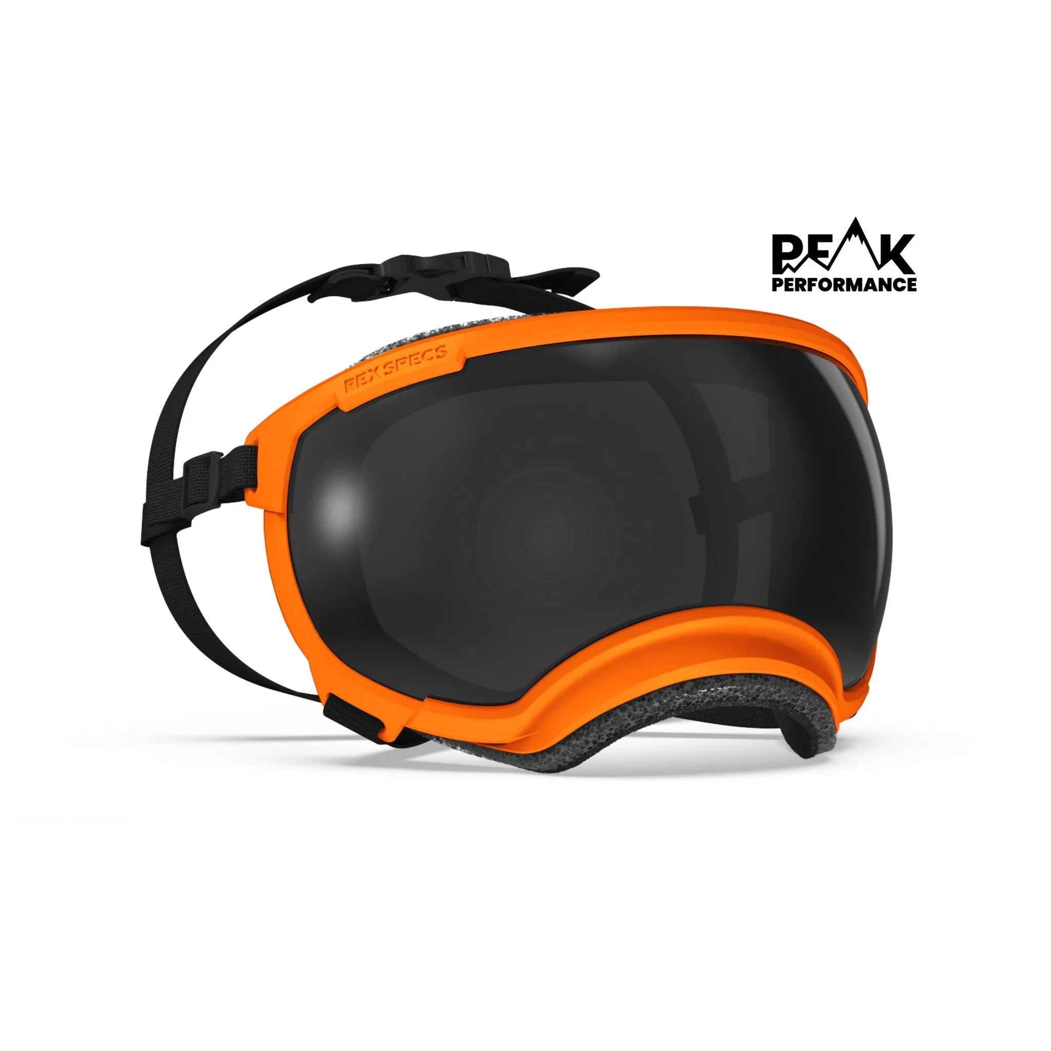 Goggles for Dogs - V2
