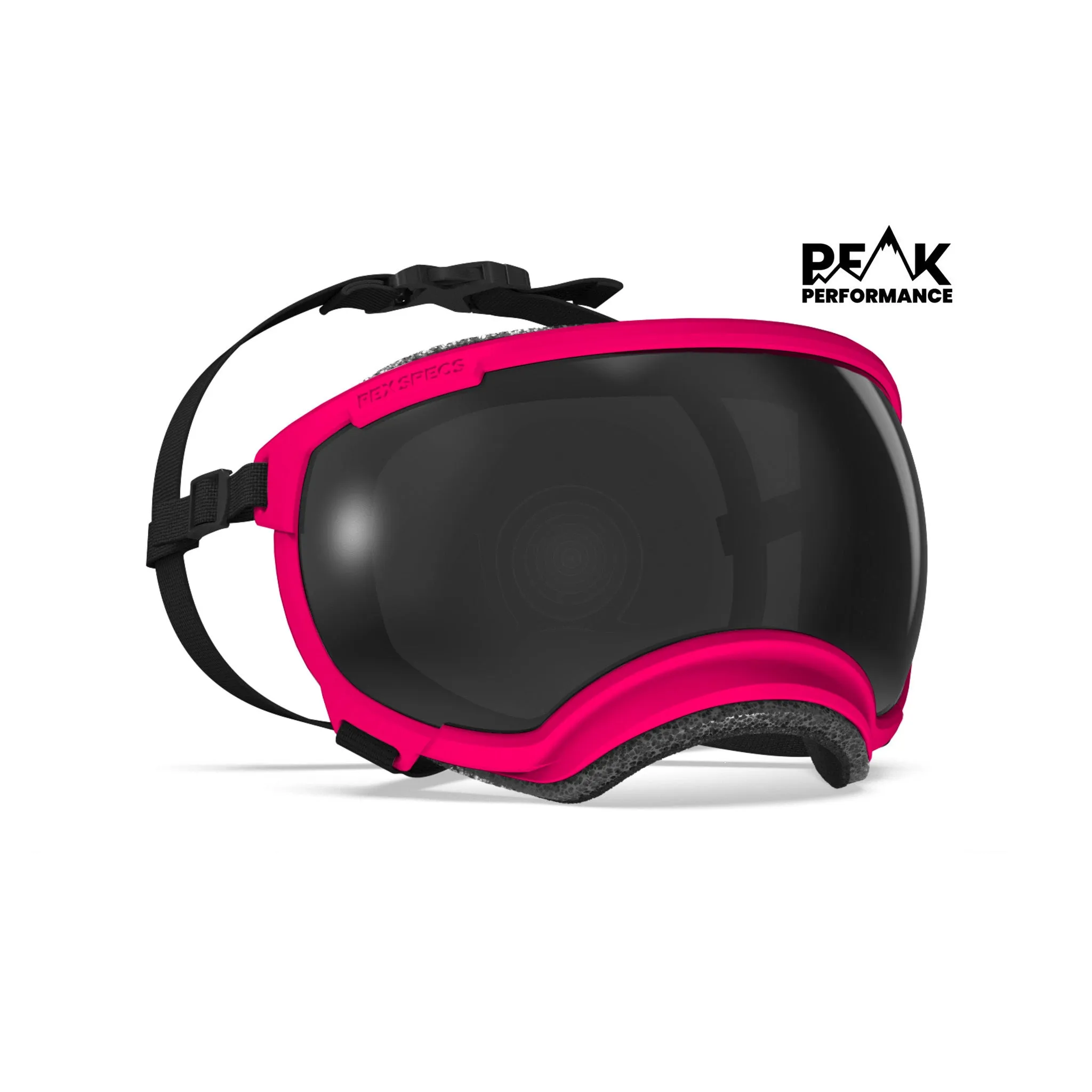Goggles for Dogs - V2