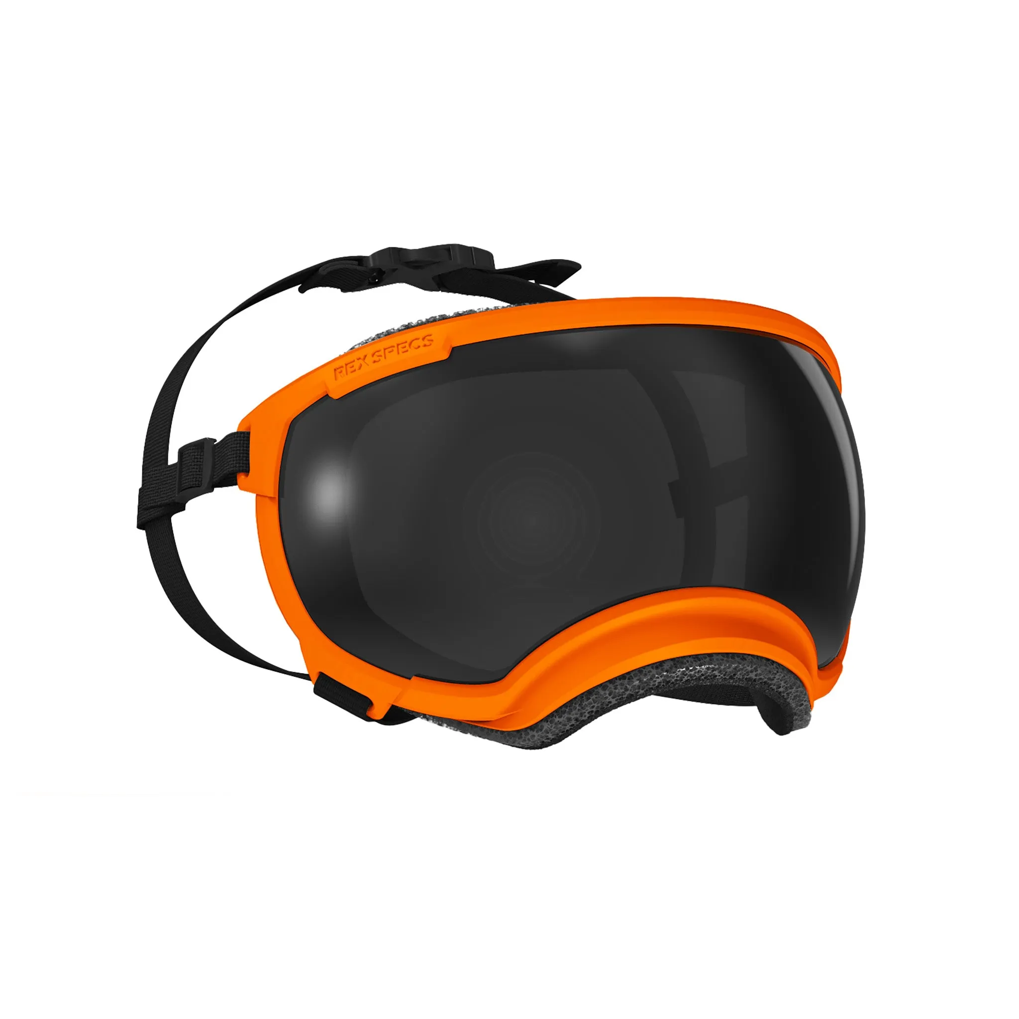 Goggles for Dogs - V2