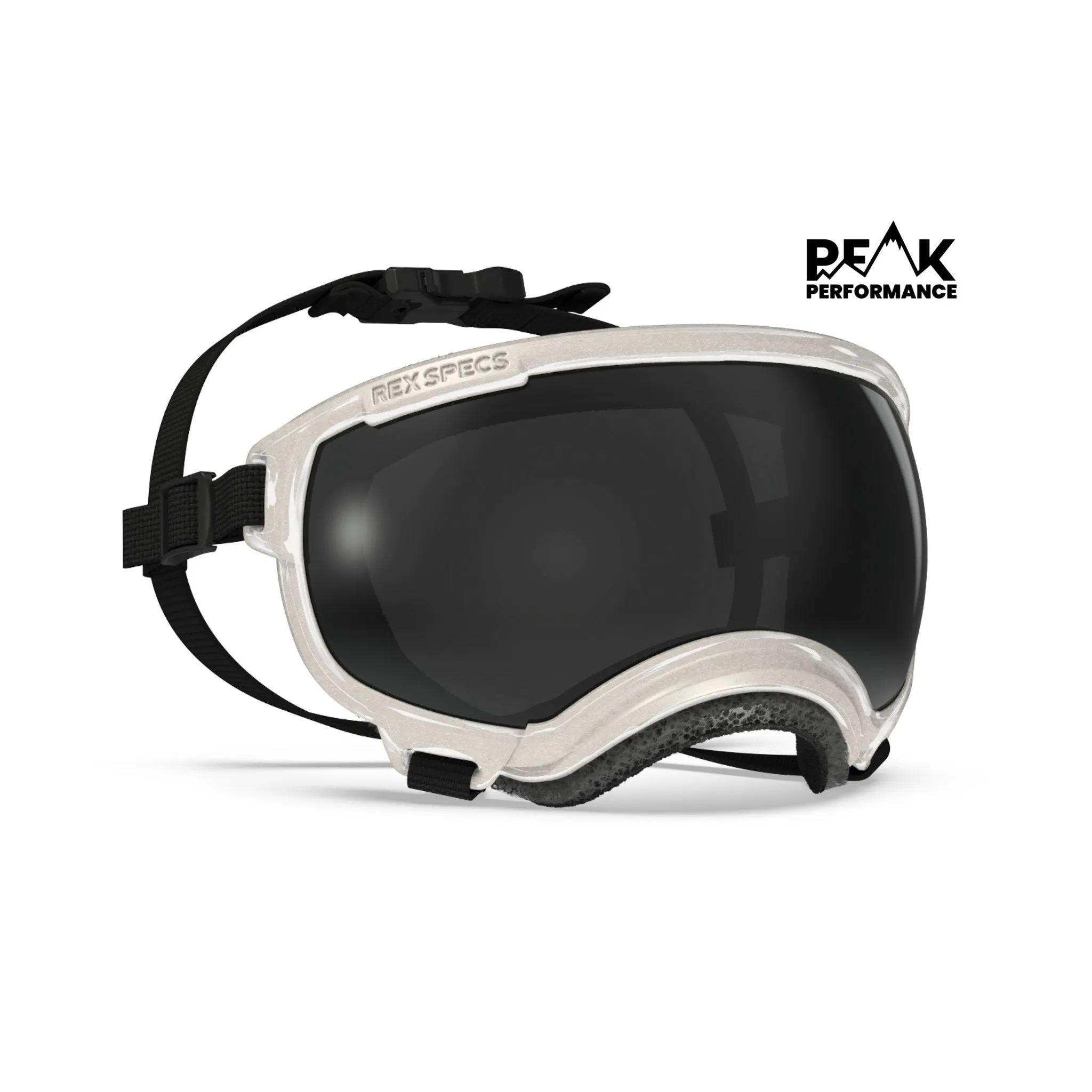 Goggles for Dogs - V2