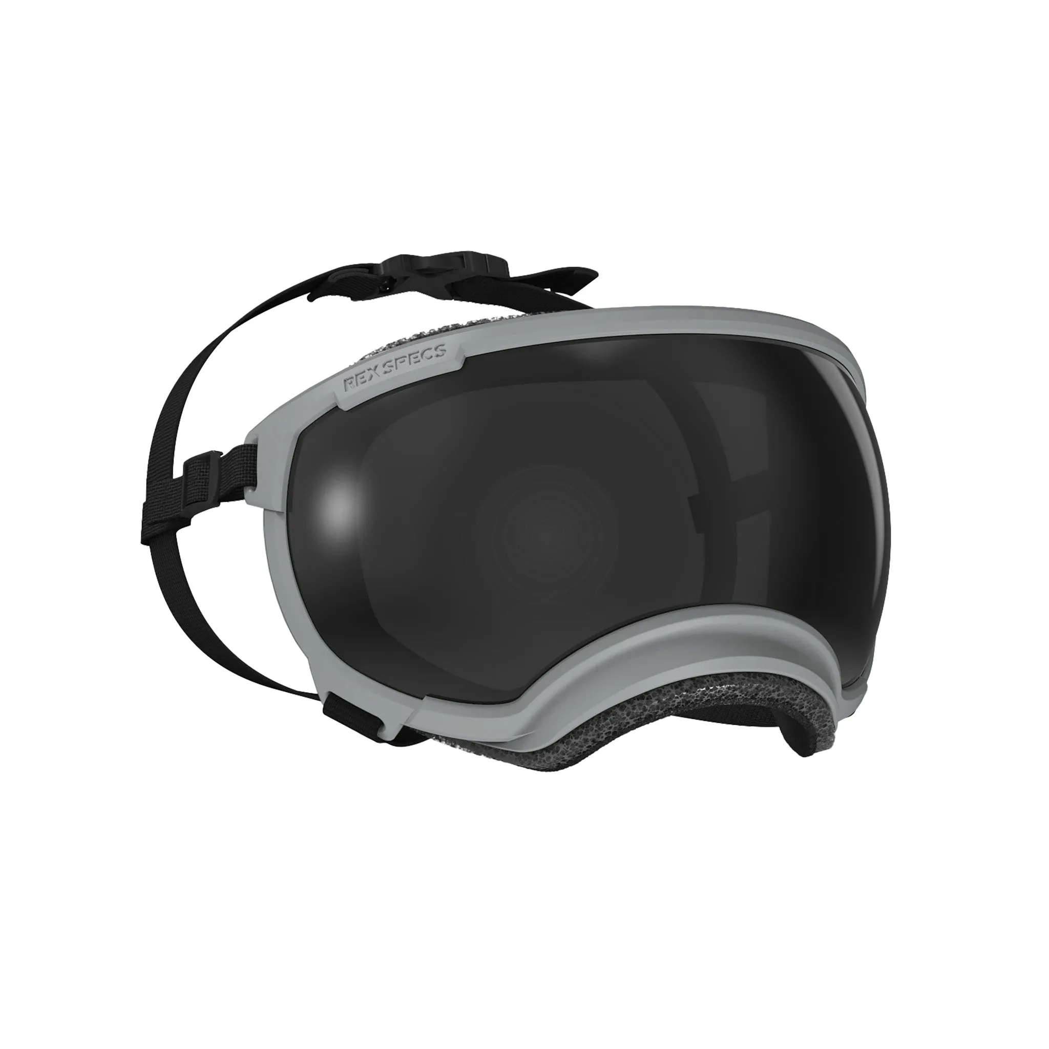 Goggles for Dogs - V2