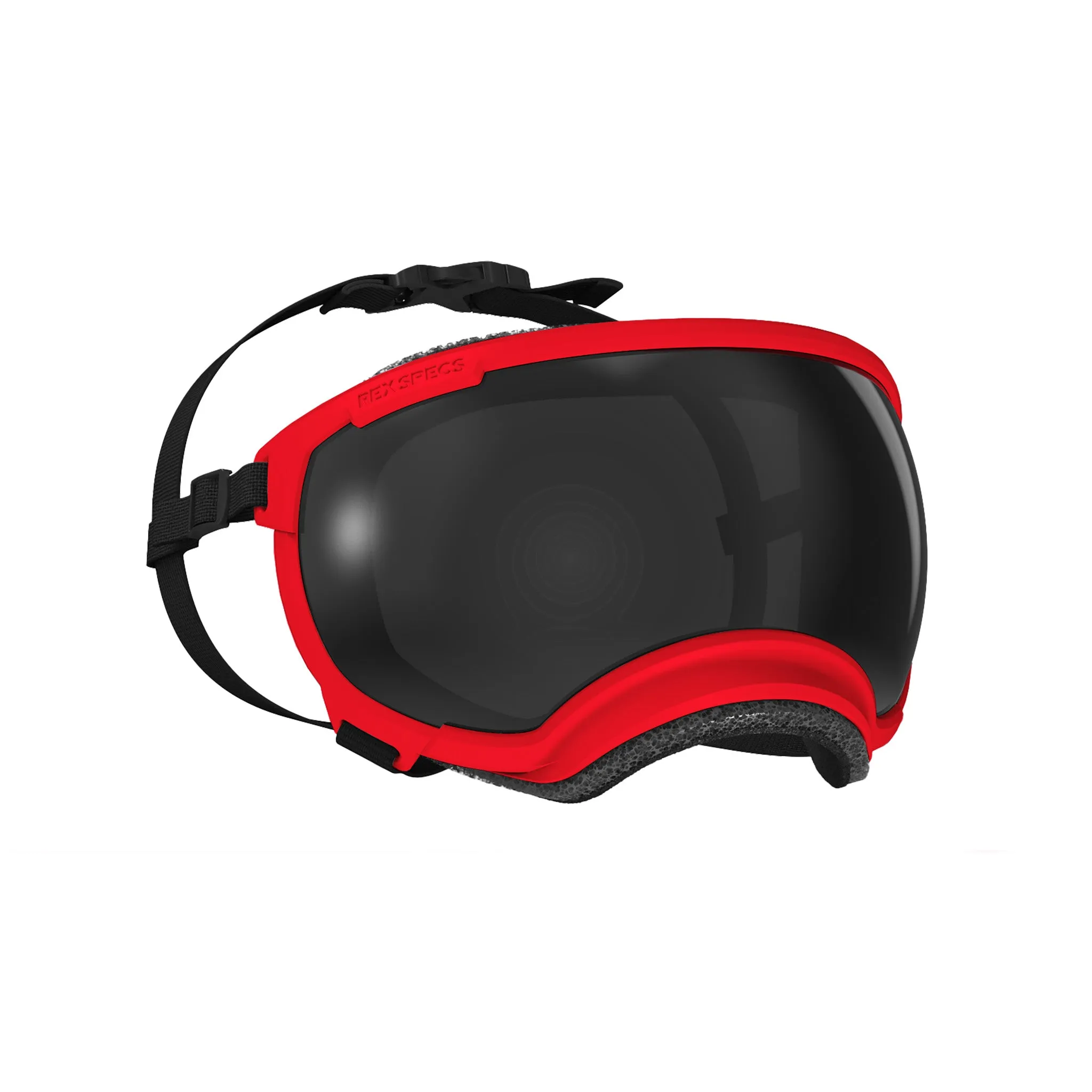 Goggles for Dogs - V2
