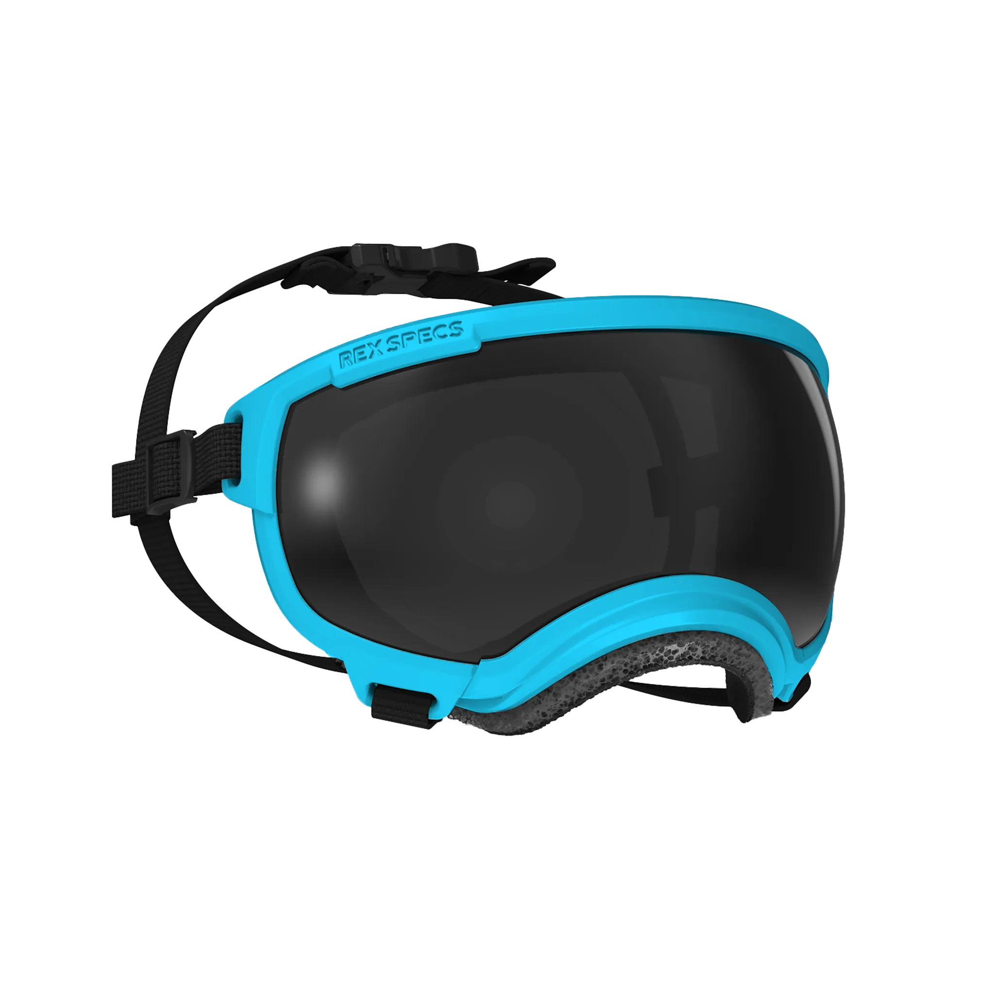 Goggles for Dogs - V2