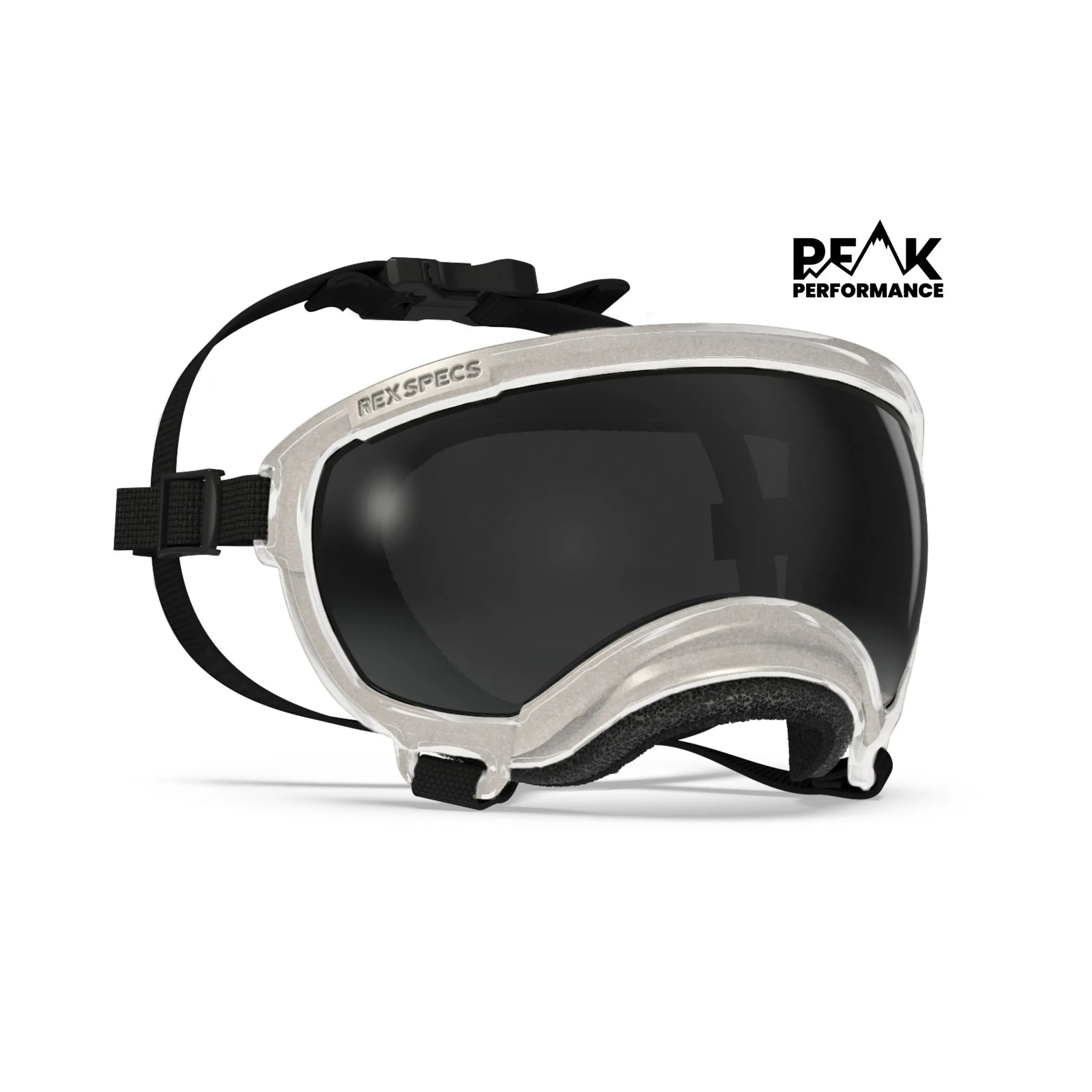 Goggles for Dogs - V2