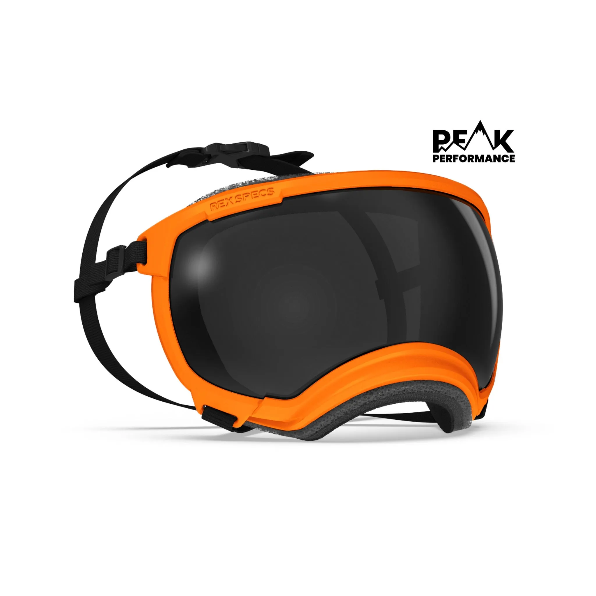 Goggles for Dogs - V2