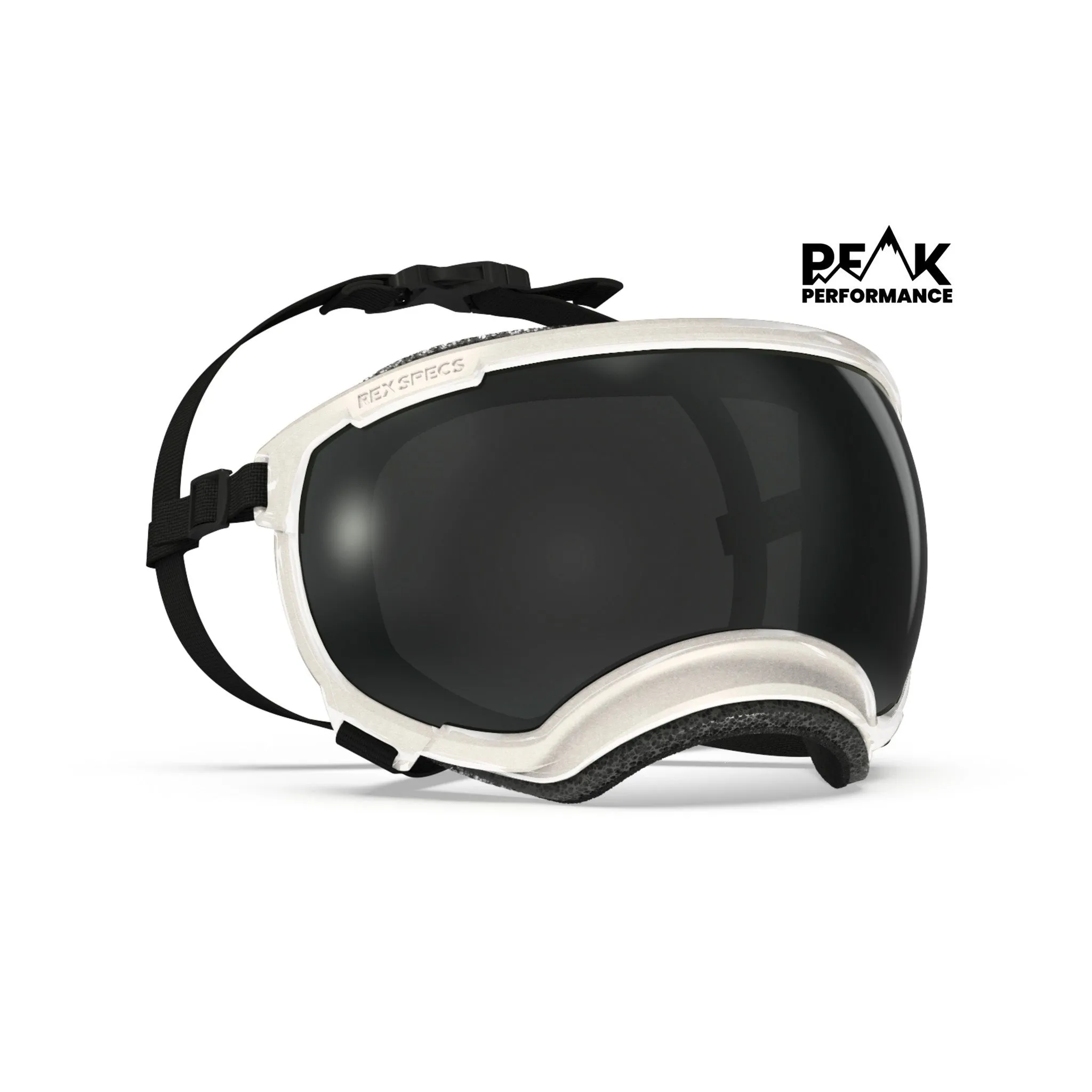 Goggles for Dogs - V2
