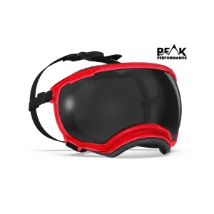 Goggles for Dogs - V2